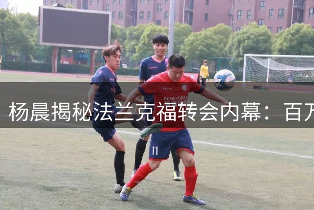 杨晨揭秘法兰克福转会内幕：百万马克促成留洋