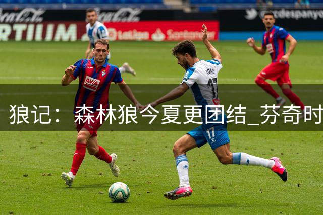 狼记：森林狼今夏更团结 芬奇时代身体天赋最强阵